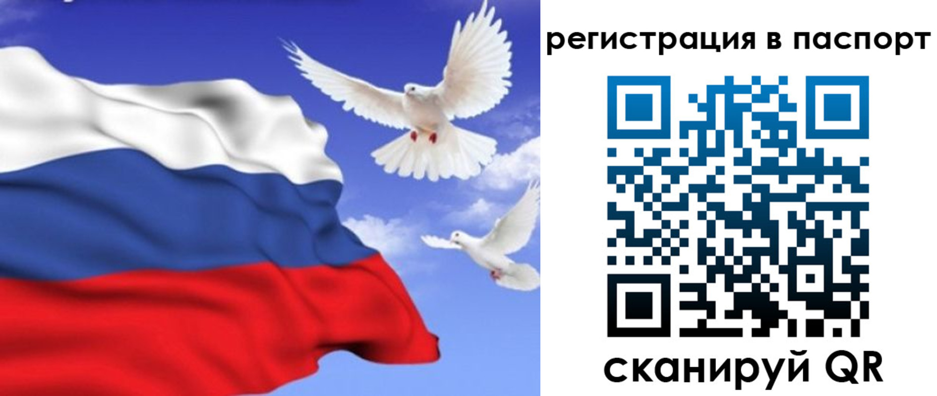купить прописку в Людиново